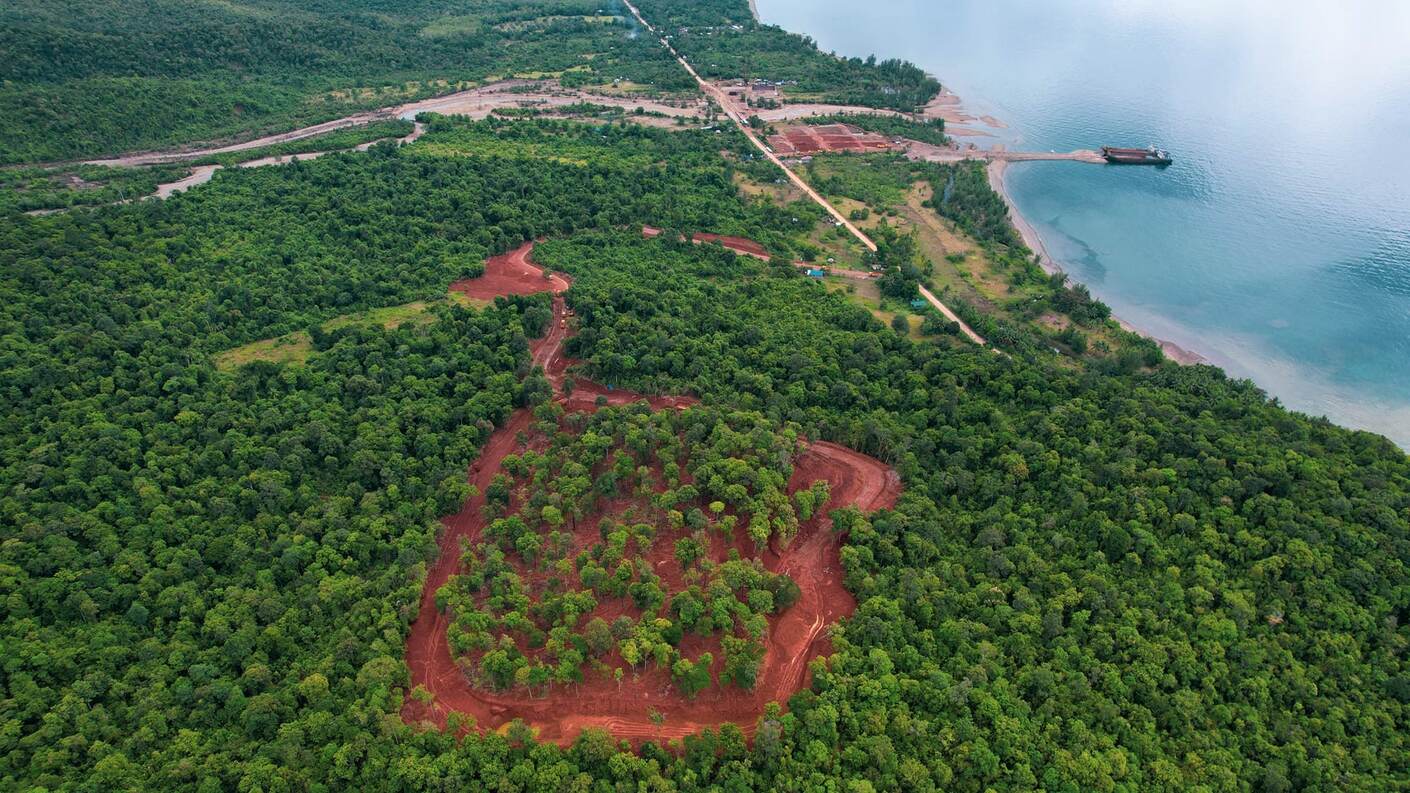 Aerial view of a disturbed coastal forest area