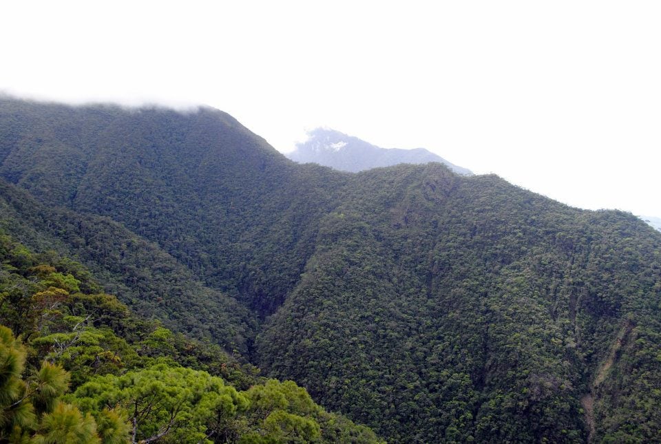 Forest-covered mountains of Sibuyan Island
