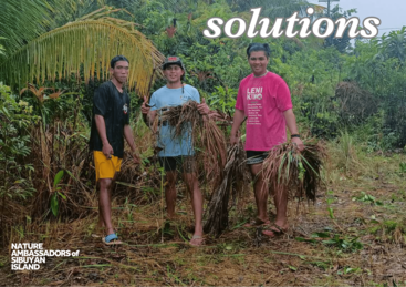 NASI solutions activity